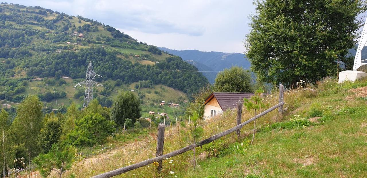 Pensiunea Petru Şugag Exteriör bild