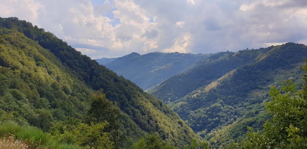 Pensiunea Petru Şugag Exteriör bild