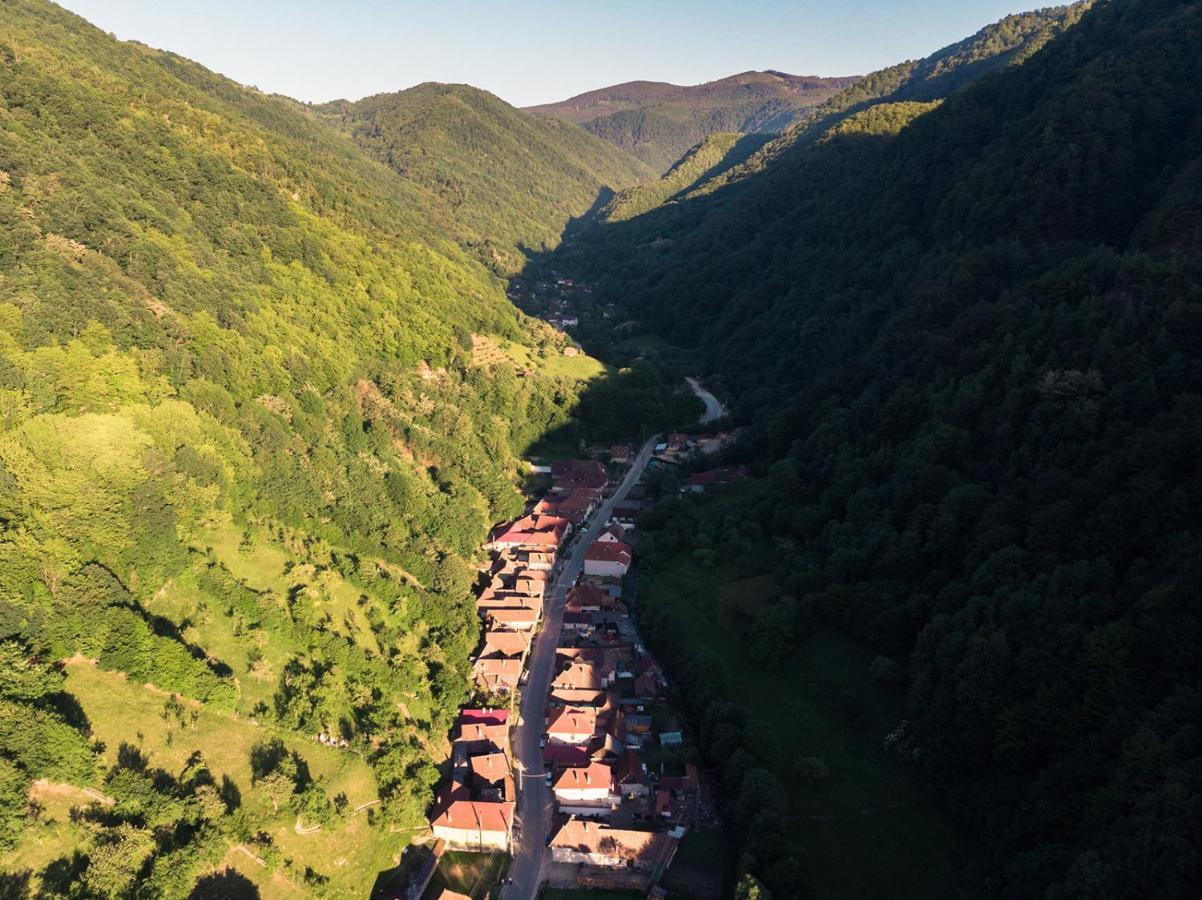 Pensiunea Petru Şugag Exteriör bild