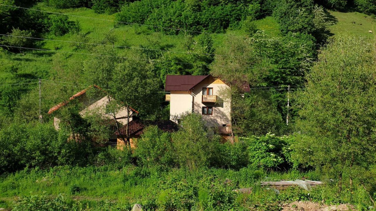 Pensiunea Petru Şugag Exteriör bild